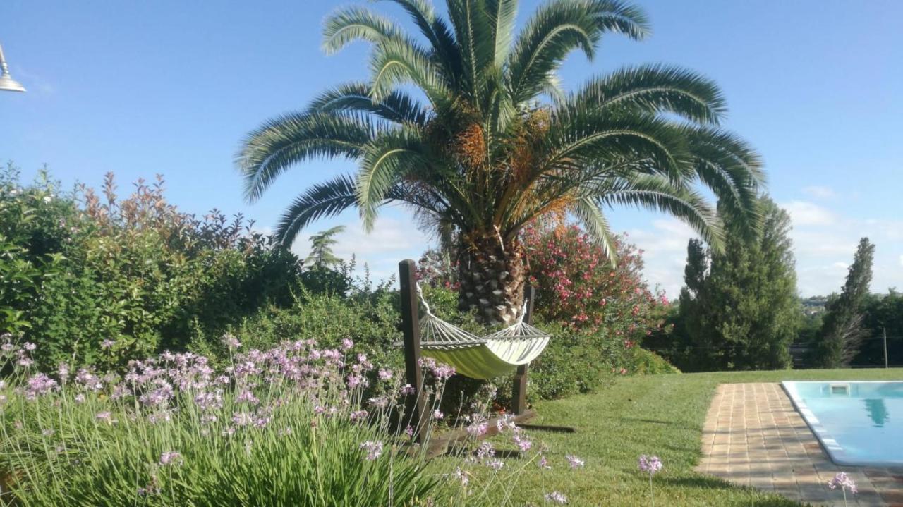 Agriturismo La Vecchia Fonte Castelbellino Exterior foto