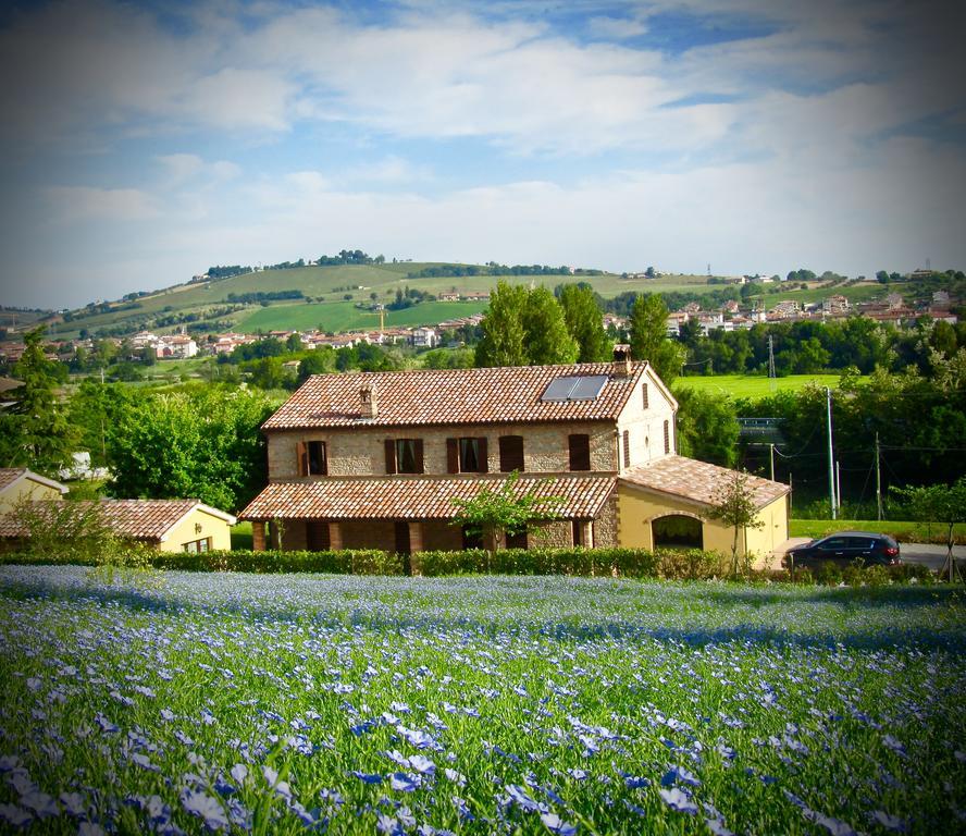 Agriturismo La Vecchia Fonte Castelbellino Exterior foto